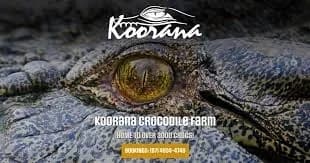 Koorana Crocodile Farm
